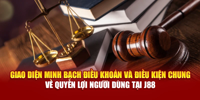 Giao diện minh bạch điều khoản và điều kiện 